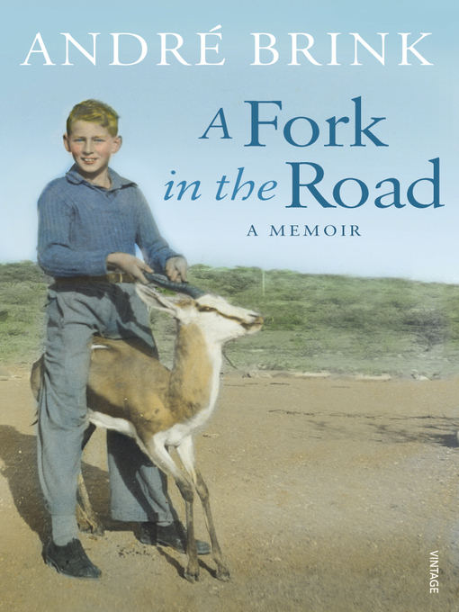 Title details for A Fork in the Road by André Brink - Available